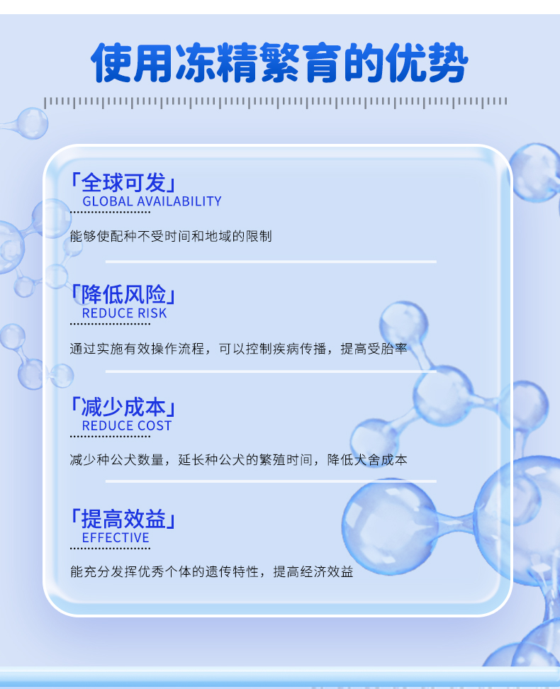犬_03.jpg