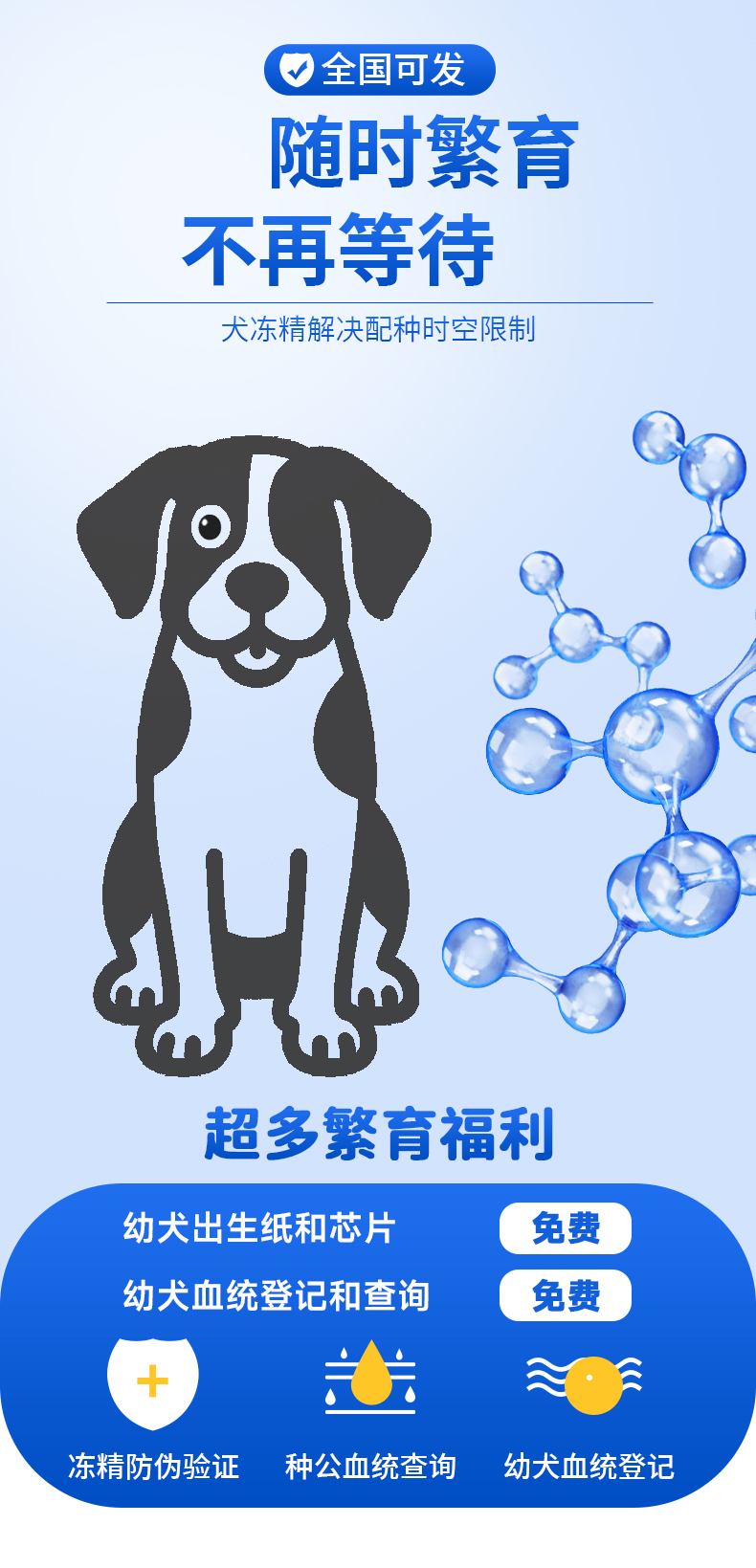 犬1_01.jpg