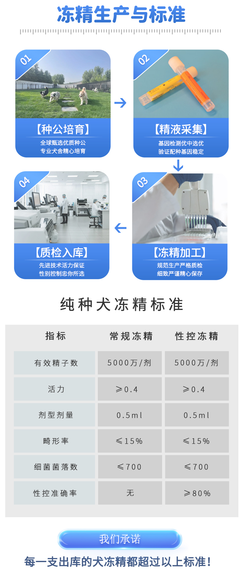 犬1_02.jpg